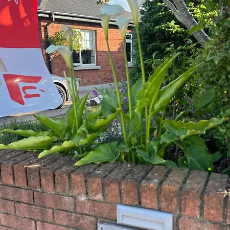 Richmond Beag Apartment *