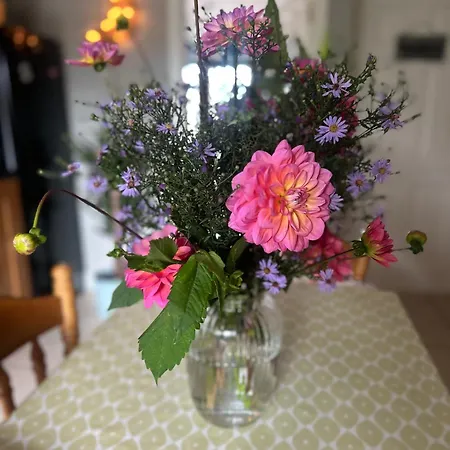 Richmond Beag Apartment Blackrock (Louth)