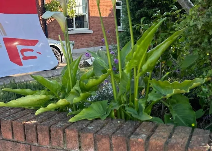 Richmond Beag Apartamento *